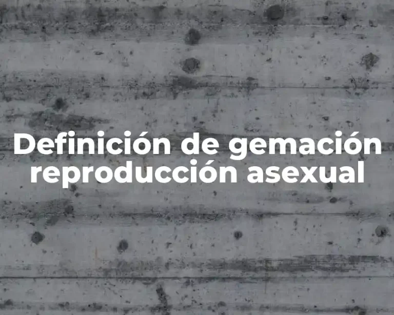 Definición de gemación reproducción asexual