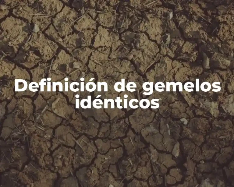 Definición de gemelos idénticos