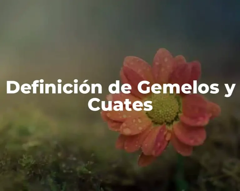 Definición de Gemelos y Cuates