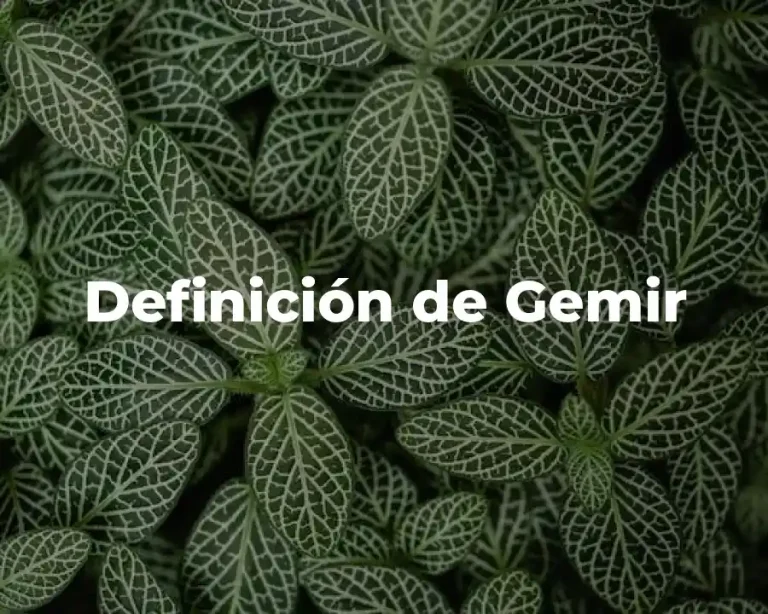 Definición de Gemir