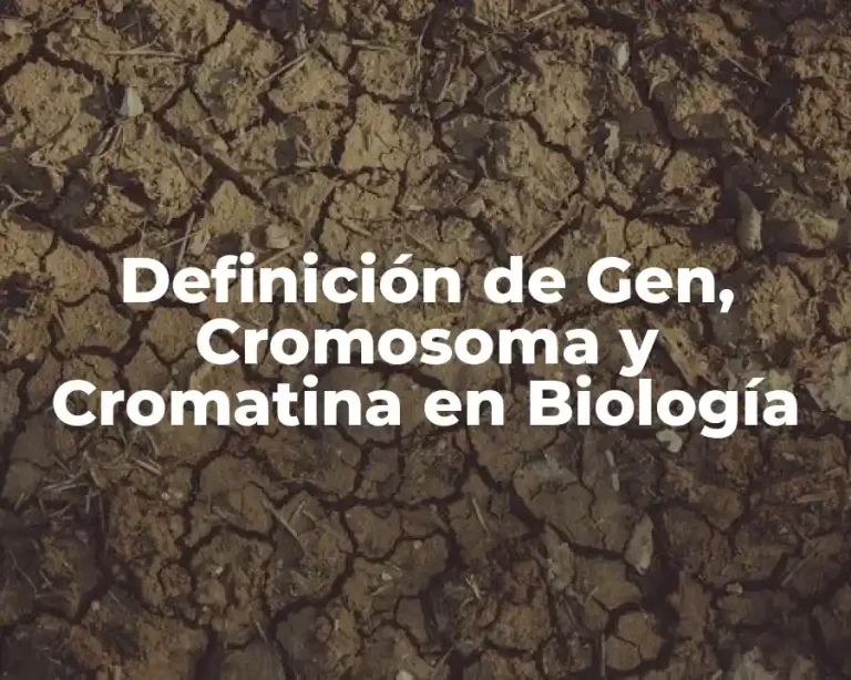 Definición de Gen, Cromosoma y Cromatina en Biología