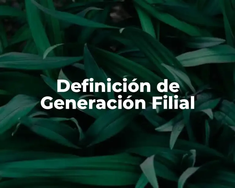 Definición de Generación Filial