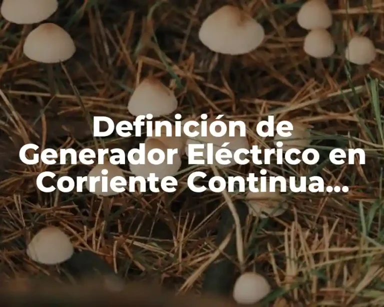 Definición de Generador Eléctrico en Corriente Continua Serie