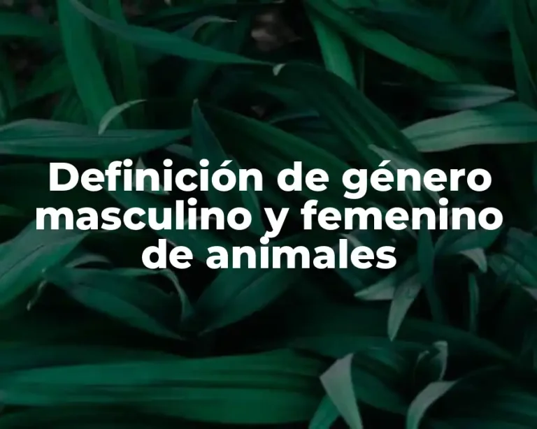 Definición de género masculino y femenino de animales