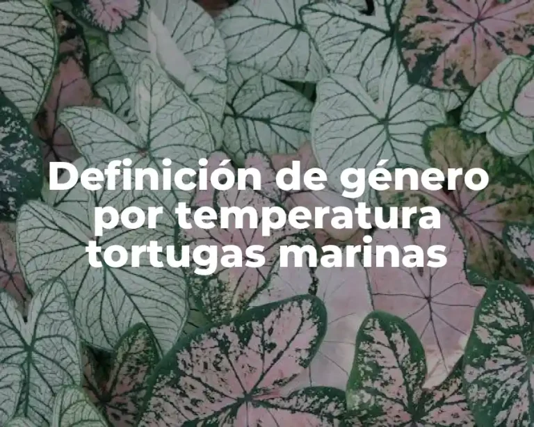 Definición de género por temperatura tortugas marinas