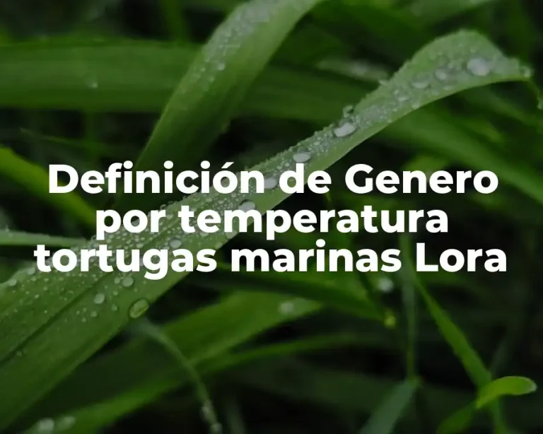 Definición de Genero por temperatura tortugas marinas Lora