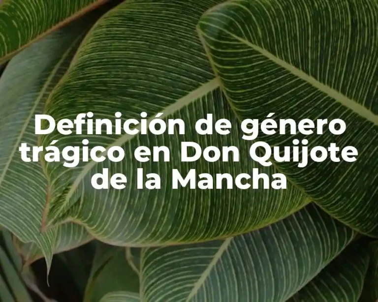 Definición de género trágico en Don Quijote de la Mancha