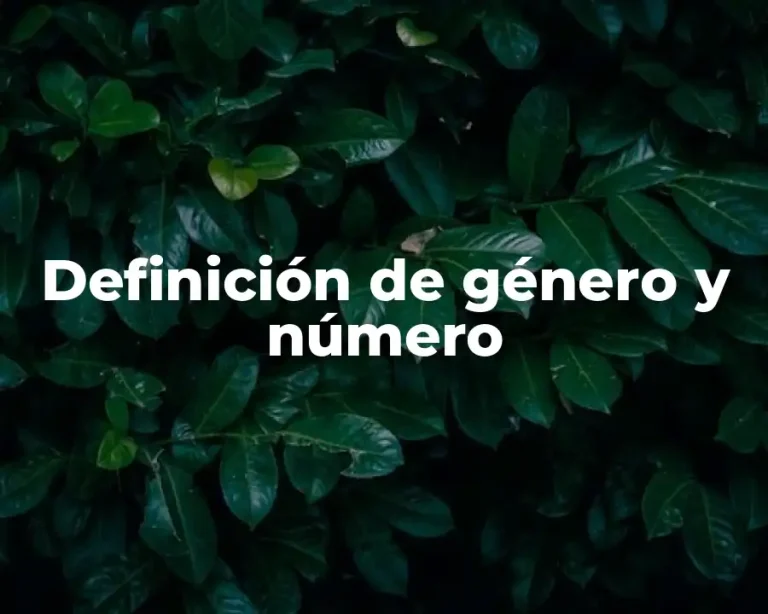 Definición de género y número