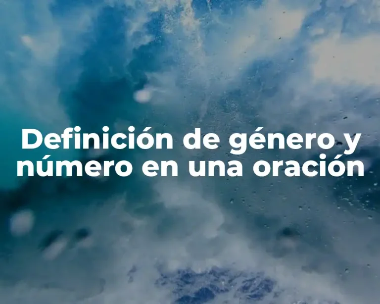 Definición de género y número en una oración