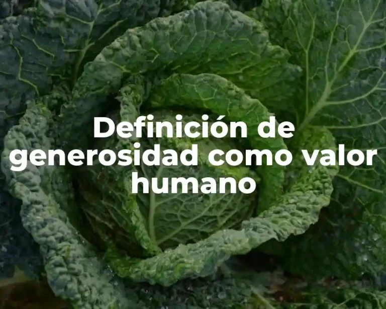 Definición de generosidad como valor humano