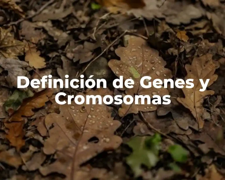 Definición de Genes y Cromosomas