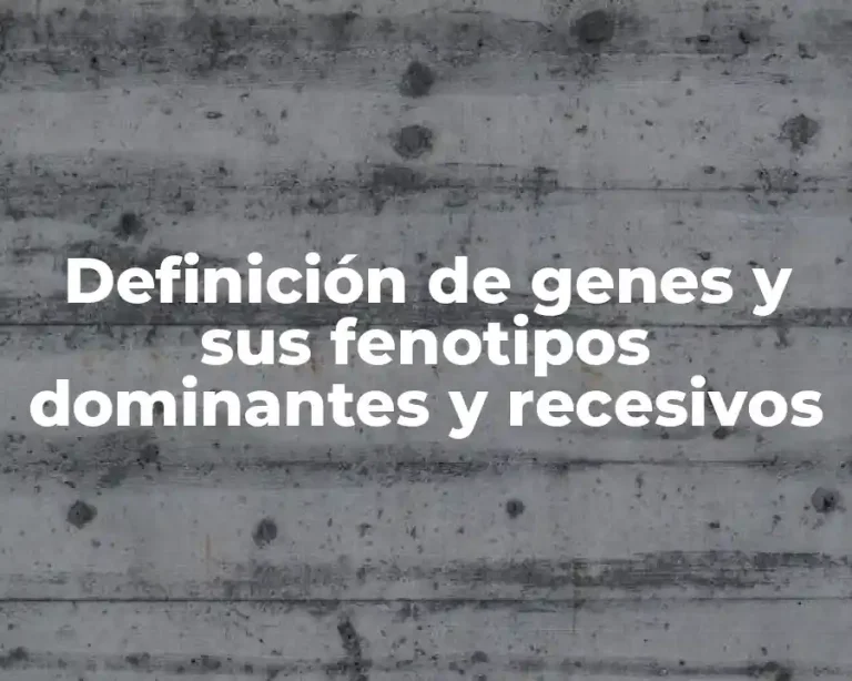 Definición de genes y sus fenotipos dominantes y recesivos