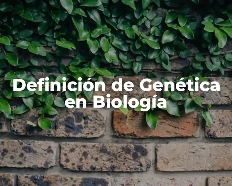 Definición de Genética en Biología