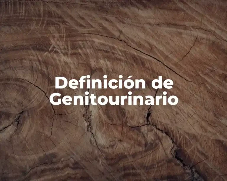 Definición de Genitourinario