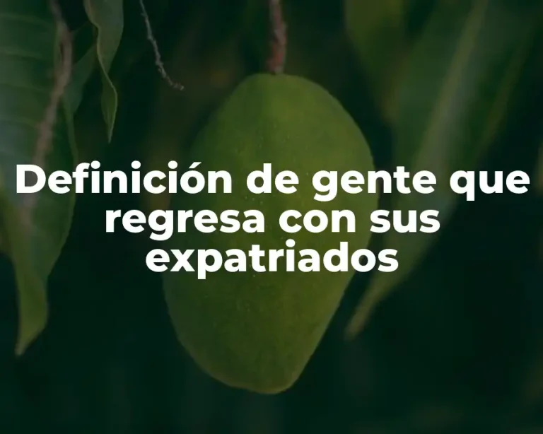 Definición de gente que regresa con sus expatriados