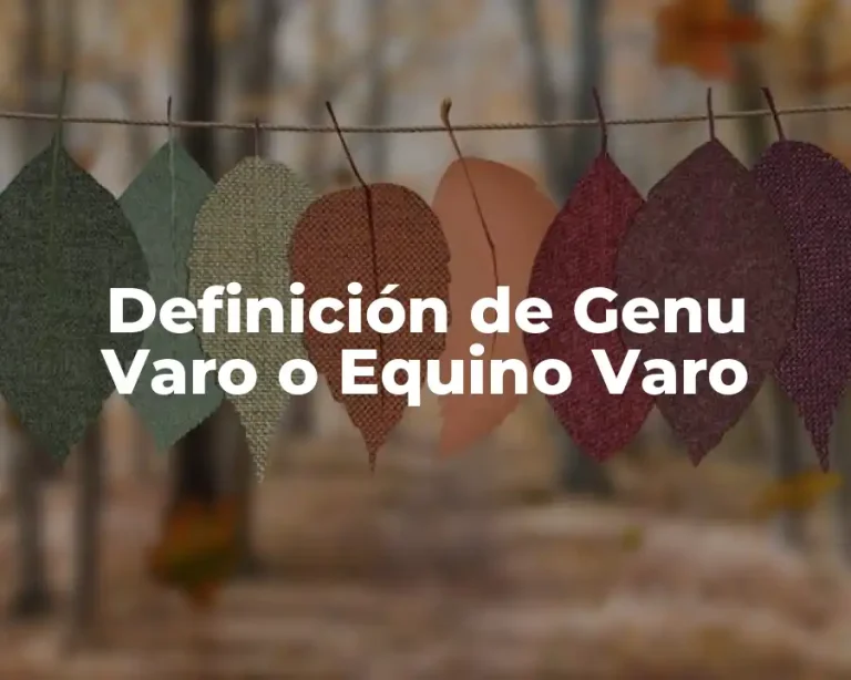 Definición de Genu Varo o Equino Varo