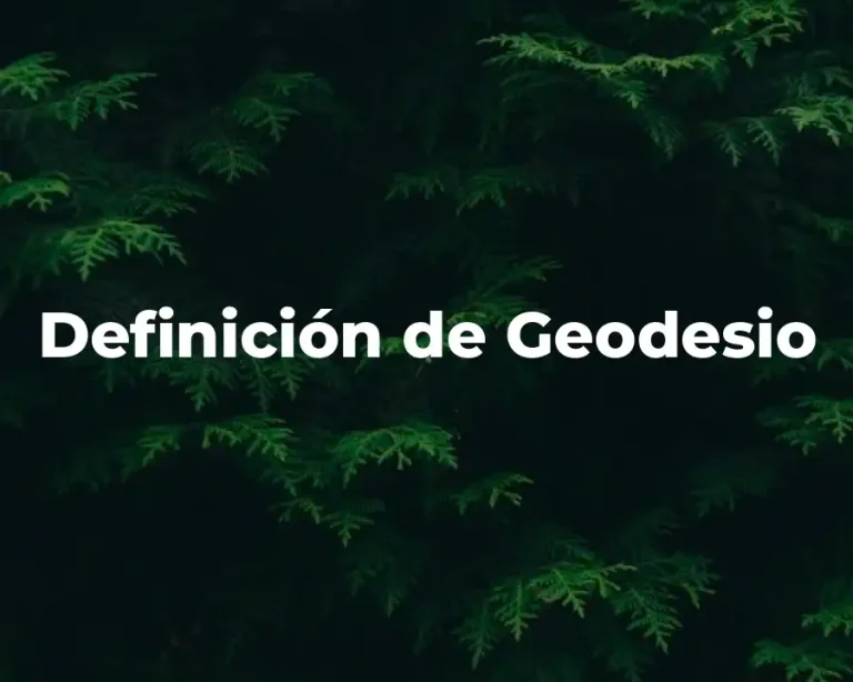 Definición de Geodesio
