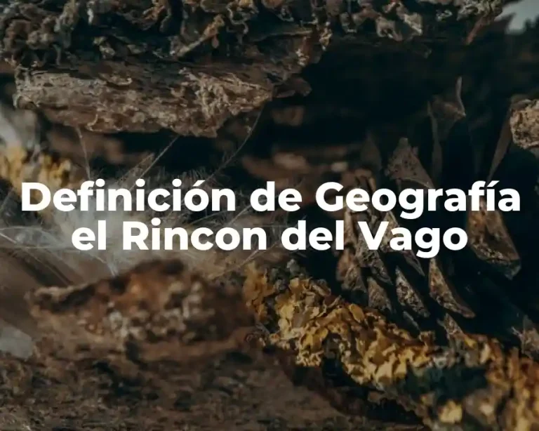 Definición de Geografía el Rincon del Vago