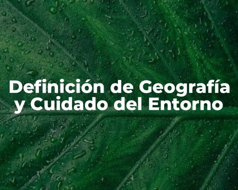 Definición de Geografía y Cuidado del Entorno