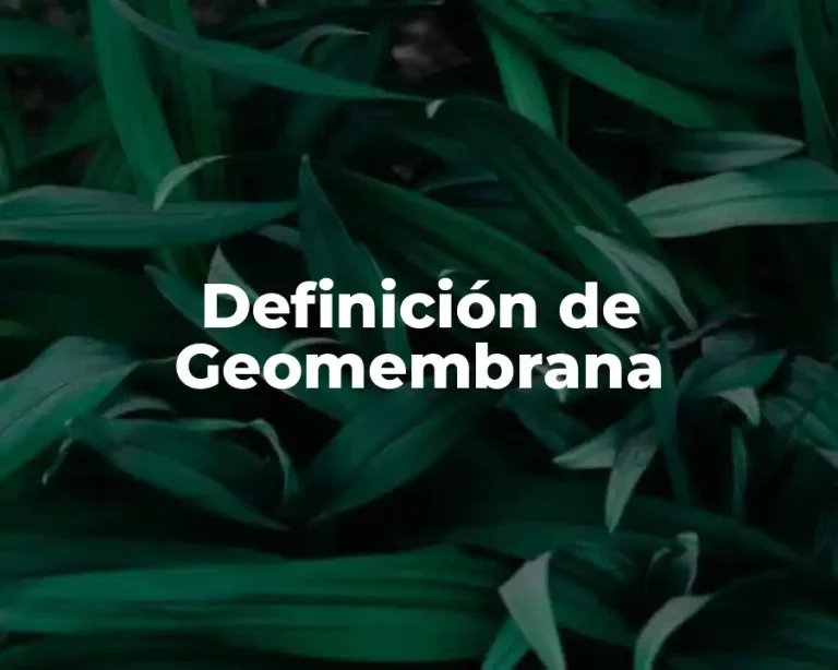Definición de Geomembrana