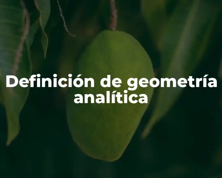 Definición de geometría analítica