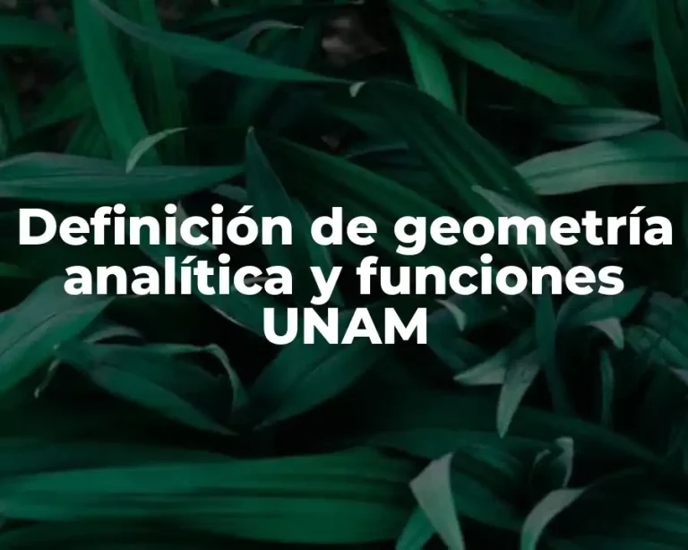 Definición de geometría analítica y funciones UNAM