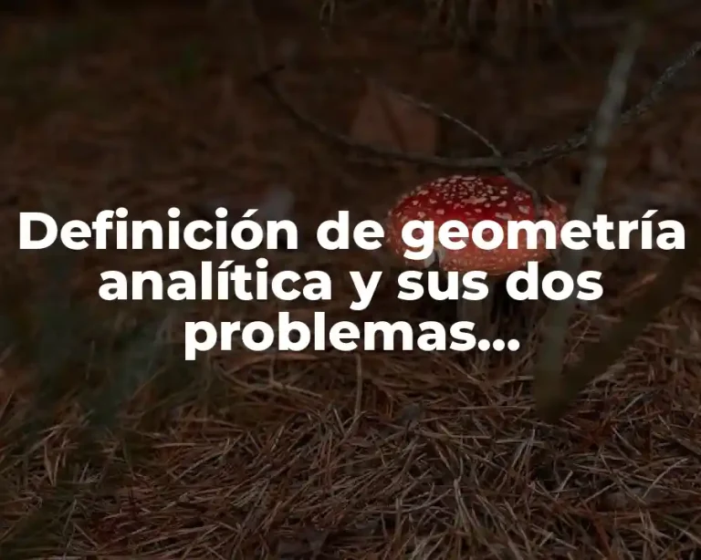Definición de geometría analítica y sus dos problemas fundamentales