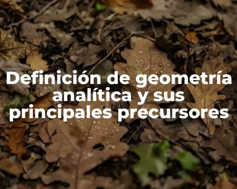 Definición de geometría analítica y sus principales precursores