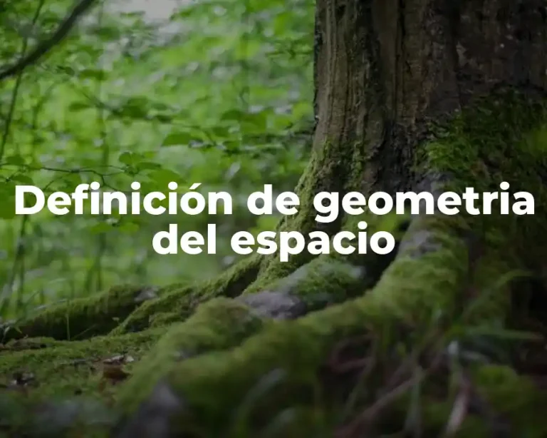 Definición de geometria del espacio