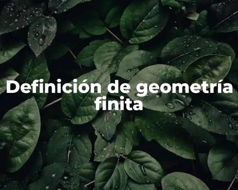 Definición de geometría finita