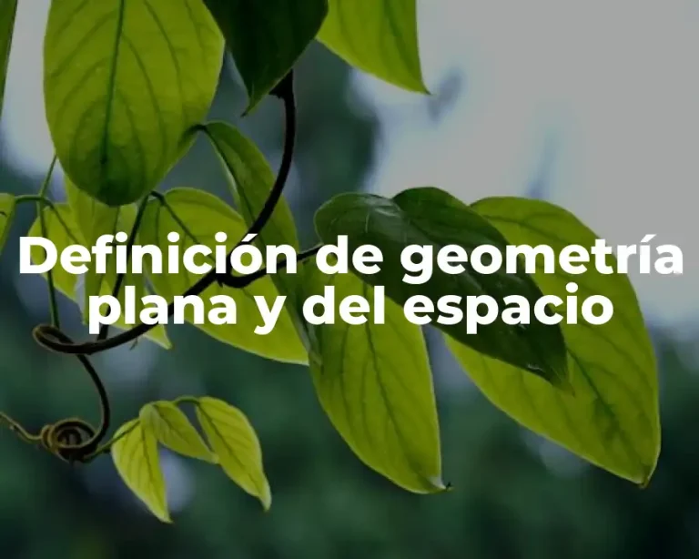 Definición de geometría plana y del espacio