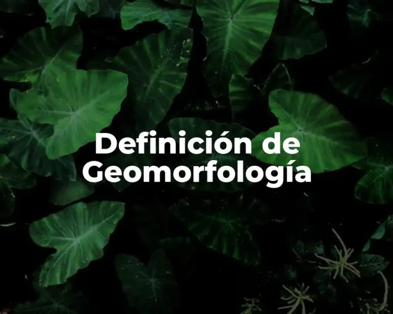Definición de Geomorfología