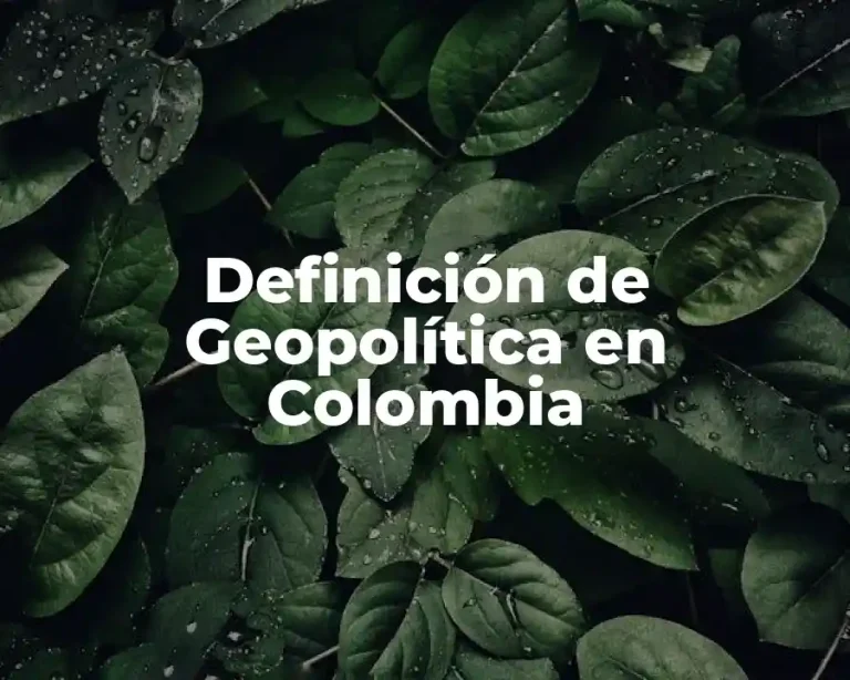 Definición de Geopolítica en Colombia