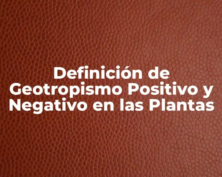 Definición de Geotropismo Positivo y Negativo en las Plantas
