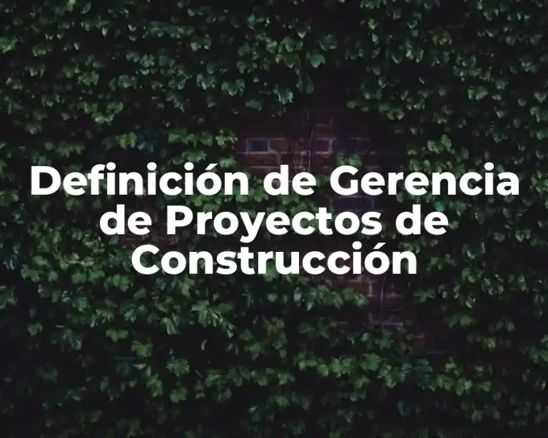 Definición de Gerencia de Proyectos de Construcción