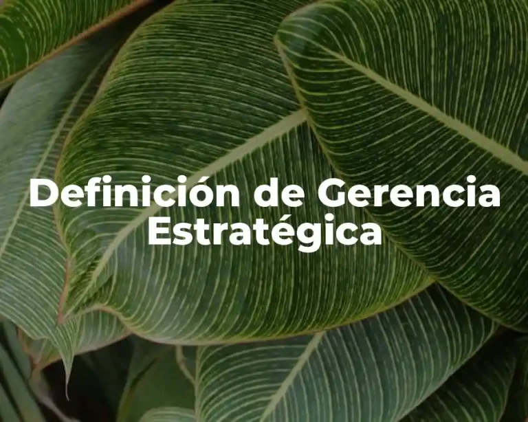 Definición de Gerencia Estratégica