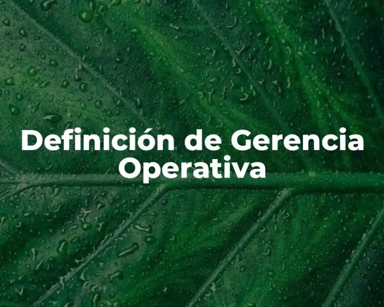 Definición de Gerencia Operativa