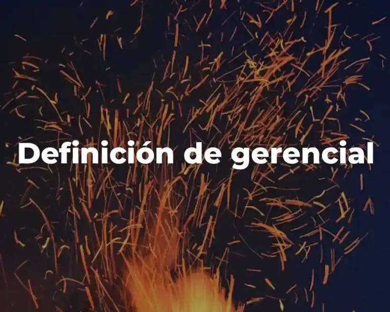 Definición de gerencial