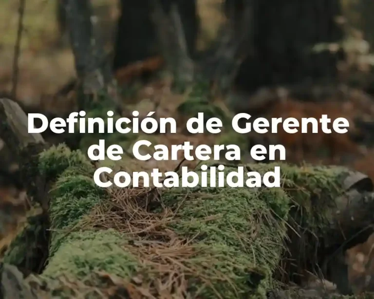 Definición de Gerente de Cartera en Contabilidad