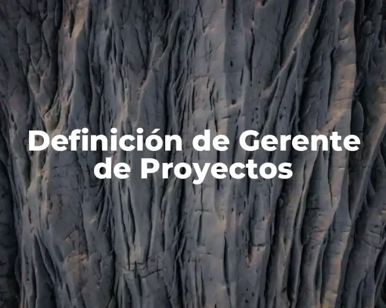 Definición de Gerente de Proyectos