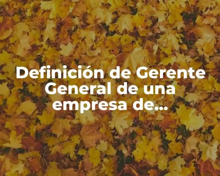Definición de Gerente General de una empresa de construcción