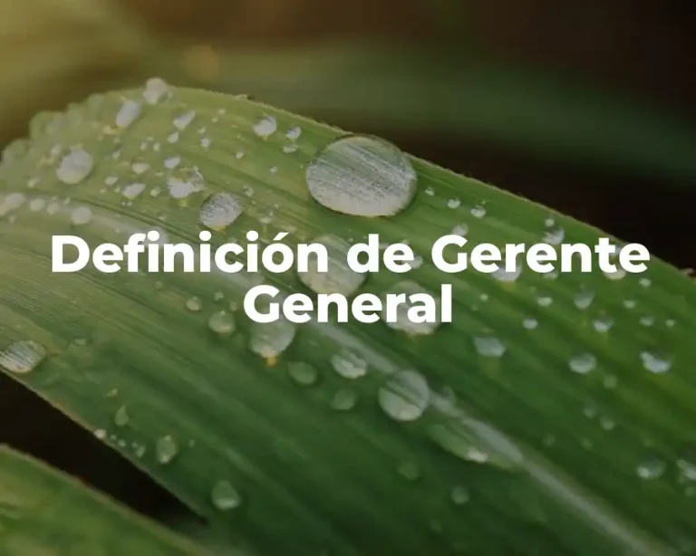 Definición de Gerente General