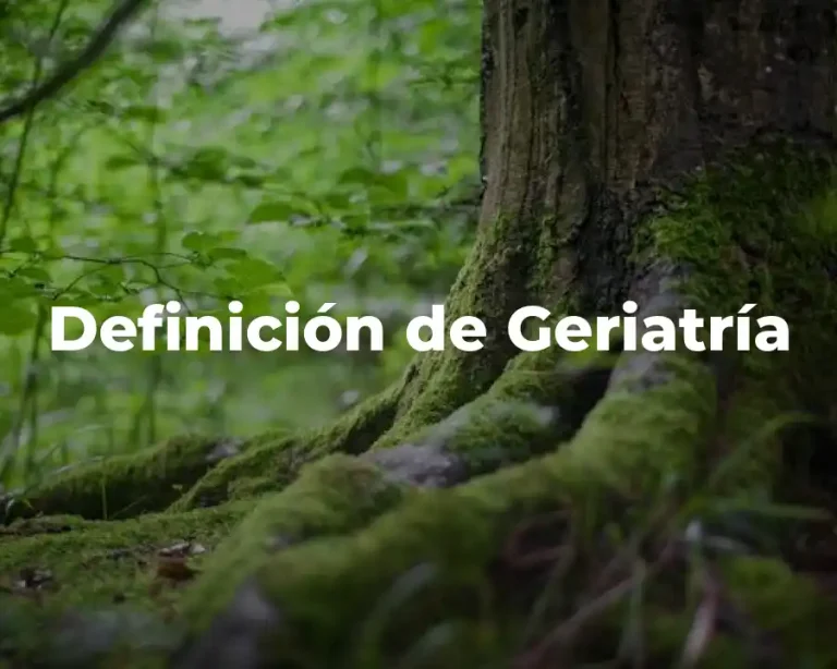 Definición de Geriatría