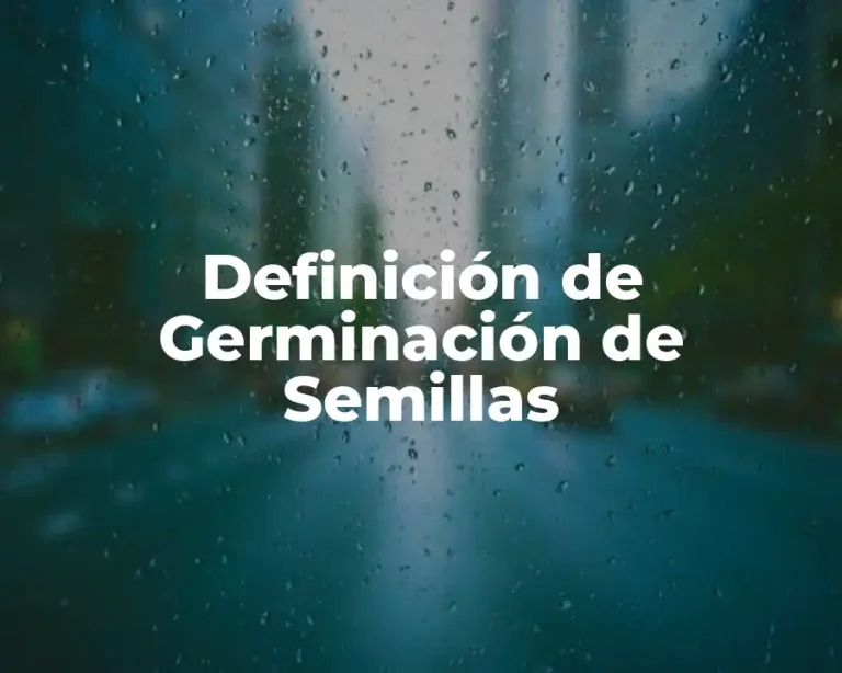 Definición de Germinación de Semillas