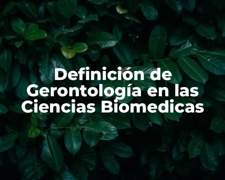 Definición de Gerontología en las Ciencias Biomedicas