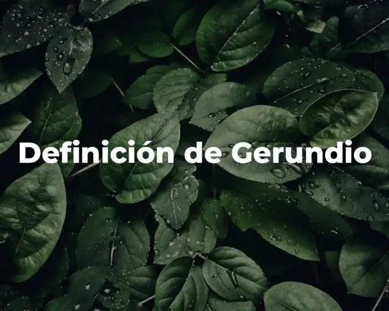 Definición de Gerundio