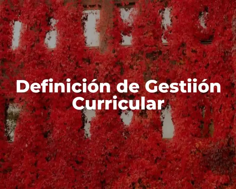 Definición de Gestiión Curricular