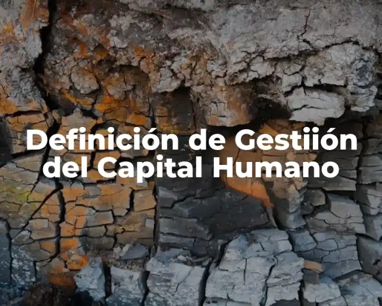 Definición de Gestiión del Capital Humano