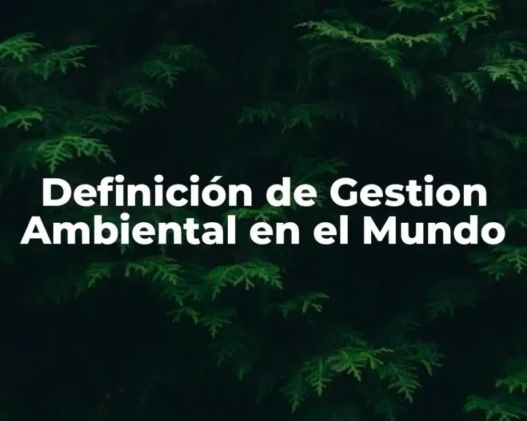 Definición de Gestion Ambiental en el Mundo
