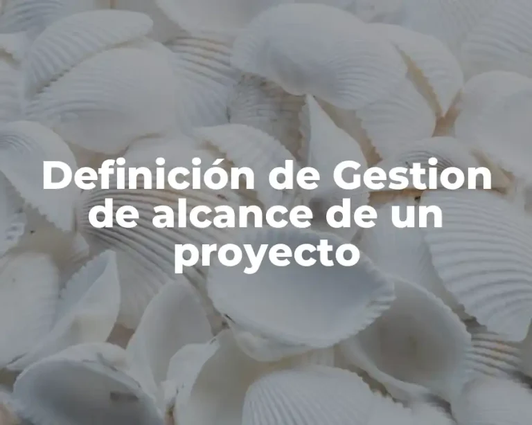 Definición de Gestion de alcance de un proyecto